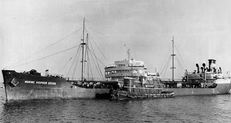 marine sulphur queen