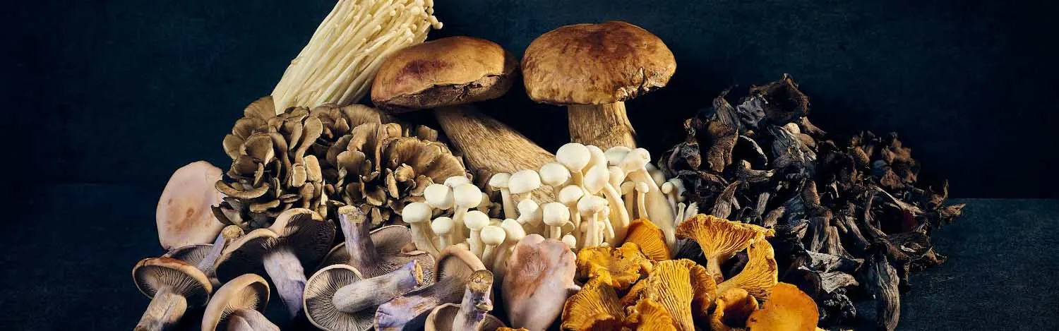 Mushrooms