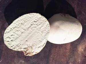 Giant Puffball flesh